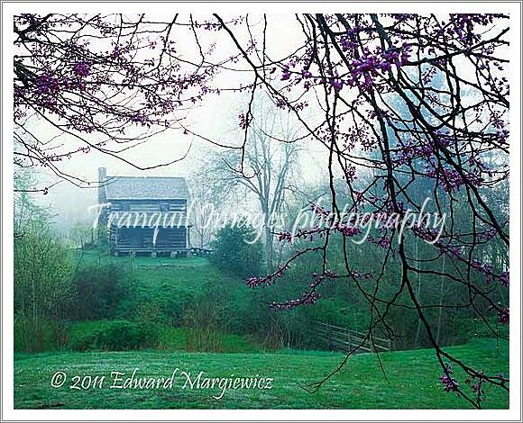 450742 Gladie Creek Cabin in the Daniel Boone Forest